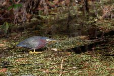 Circle B Bar Reserve--26.jpg