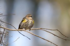 Circle B Bar Reserve--27.jpg