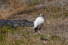 Circle B Bar Reserve--28.jpg