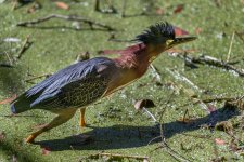 Circle B Bar Reserve--29.jpg