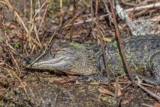 Circle B Bar Reserve--30.jpg