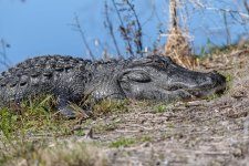 Circle B Bar Reserve--31.jpg