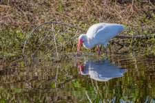 Circle B Bar Reserve--32.jpg