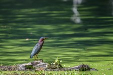 Circle B Bar Reserve--33.jpg