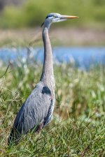 Circle B Bar Reserve--35.jpg