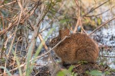 Circle B Bar Reserve--34.jpg