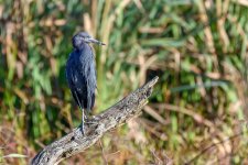 Circle B Bar Reserve--36.jpg