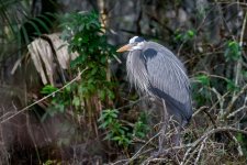 Circle B Bar Reserve-1298.jpg