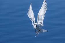 Circle B Bar Reserve--37.jpg