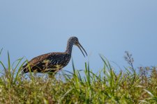 Circle B Bar Reserve--38.jpg