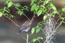 Circle B Bar Reserve--39.jpg