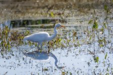 Circle B Bar Reserve--40.jpg