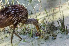 Circle B Bar Reserve--41.jpg