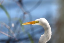 Circle B Bar Reserve-1350-2.jpg