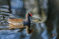 Circle B Bar Reserve--44.jpg