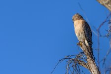 Circle B Bar Reserve--42.jpg