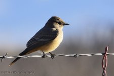 2-14-16-cr__D7K1301.jpg
