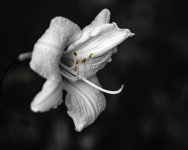 DSC_0399.jpg