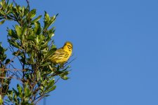 Circle B Bar Reserve--45.jpg