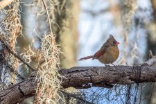 Circle B Bar Reserve--47.jpg