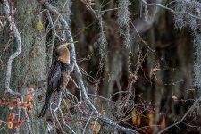 Circle B Bar Reserve--49.jpg