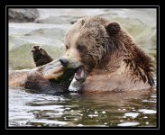 W_DSC_1613.jpg