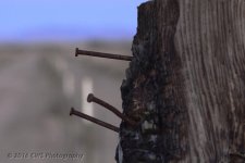 2-15-16-cr__D7K1323.jpg