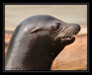 W_DSC_1748.jpg