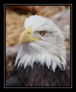 W_DSC_1753.jpg