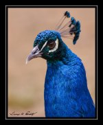 W_DSC_1838.jpg