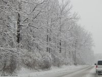 DSCN2612.jpg