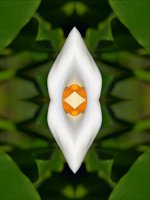 Calla2.jpg