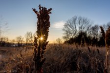 untitled-5890.jpgresize 1024.jpg