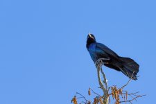 Circle B Bar Reserve--46.jpg