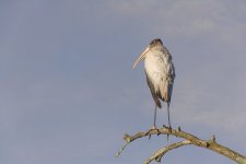 Circle B Bar Reserve--50.jpg