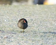 DSC_6025.jpg
