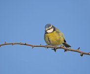 DSC_6047.jpg