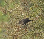 DSC_6156.jpg