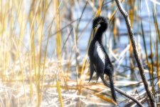 Circle B Bar Reserve--48.jpg