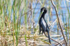 Circle B Bar Reserve-2.jpg