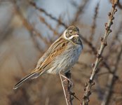 DSC_6136.jpg