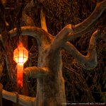 nightsafarie light-1.jpg