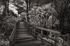 2-18-16 Trade Winds IR   1 BW.jpg