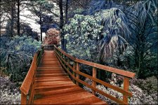2-18-16 Trade Winds IR   1.jpg