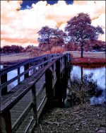2-18-16 Trade Winds IR   3.jpg