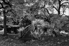 2-18-16 Trade Winds IR   4 BW.jpg