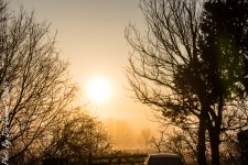 Foggy Sunrise-2525.JPG