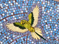 Bird.jpg