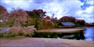 2-18-16 Trade Winds IR   5.jpg