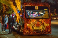 safarie bus-1.jpg